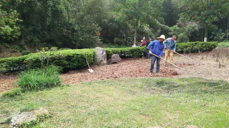 小型立体绿化植物墙成本解析：如何合理预算一平米价格**