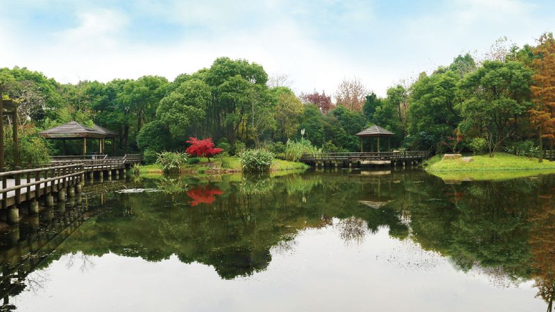 假山喷泉水泵：如何选择品质可靠的“心脏”**