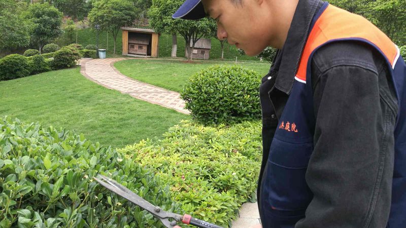 北京立体绿化报价单明细：揭秘立体绿化成本构成**