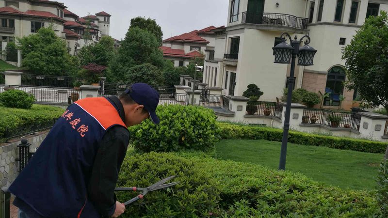 办公楼屋顶绿化的优缺点解析