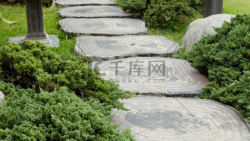 苗木种植技术视频教程分类：从入门到精通的系统化学习路径