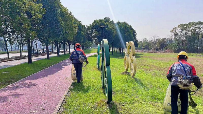 低成本垂直绿化墙尺寸选择：如何兼顾美观与实用