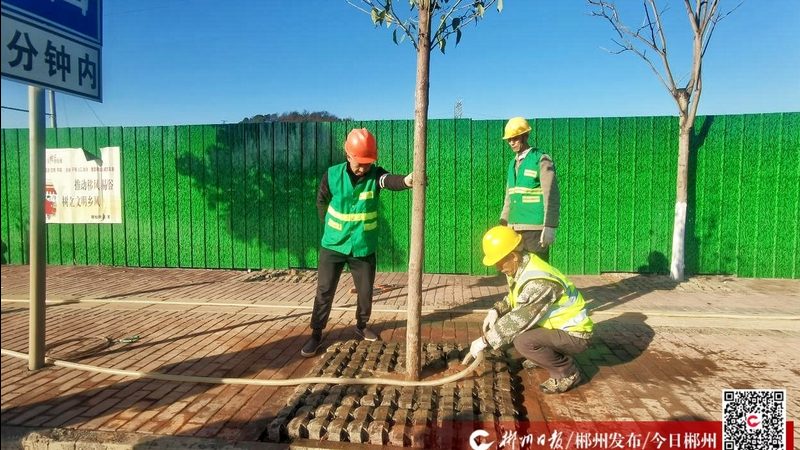 小区园林绿化施工：从规划到成活的秘密**