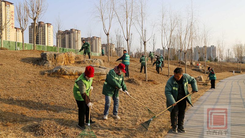市政道路绿化养护，单价明细揭秘**