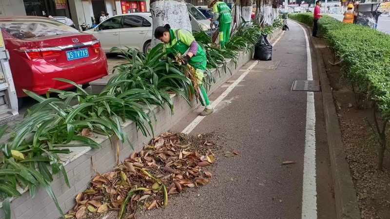 老旧小区绿化改造：养护方案全解析