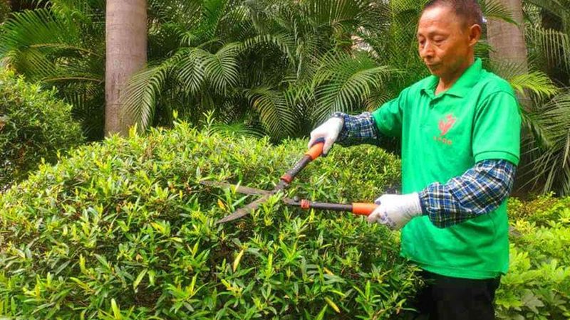 小区绿化，如何挑选专业园林公司？**