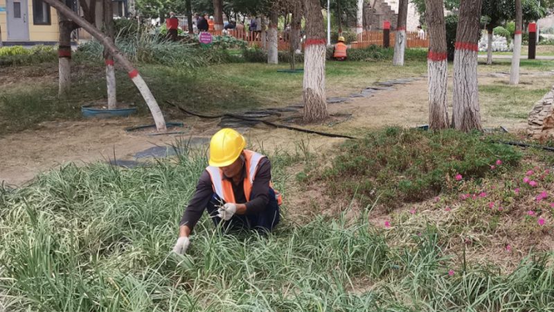 目前市场上常见的垂直绿化模块主要有以下几种类型：