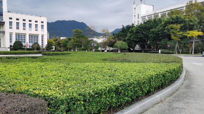 苗木种植成本，你算对了吗？**