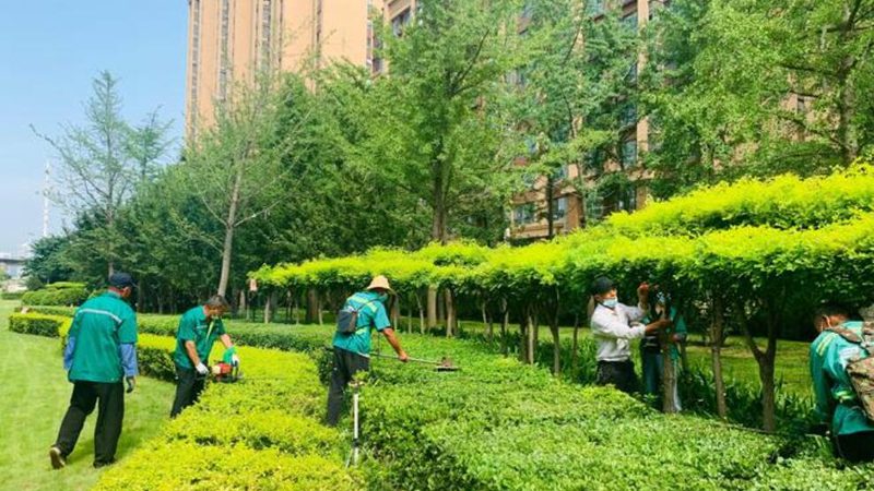 绿植租摆的配色法则：让空间高级感翻倍
